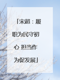 宋超：履职为民守初心 担当作为促发展